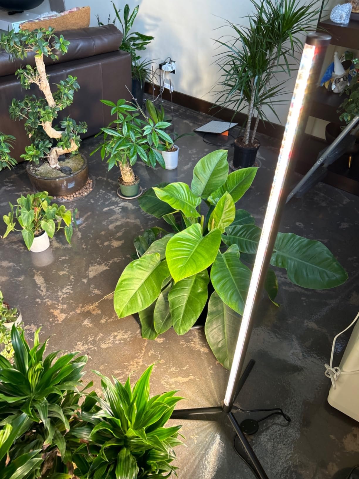 Best Led Grow light Bar Horticulture Grow Lighting Bar Household Full Spectrum Grow light Indoor Plants Stand Floor Grow Lamp