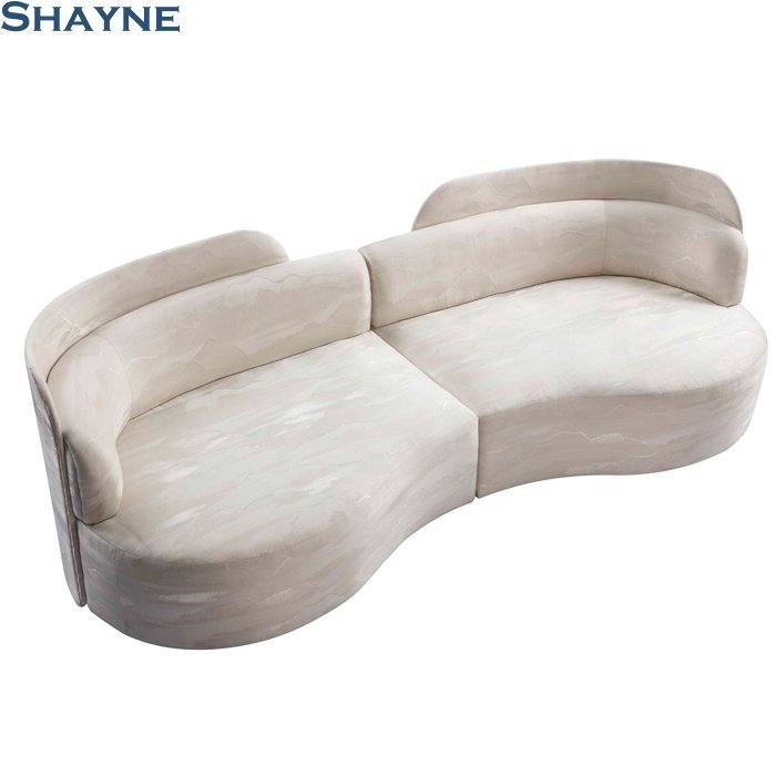 202410 collections NC Exhibitor OEM for well-known brands SHAYNE FURNITURE Living Room modular sofa 2 sofa sectional sofa