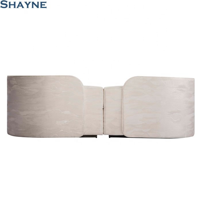 202410 collections NC Exhibitor OEM for well-known brands SHAYNE FURNITURE Living Room modular sofa 2 sofa sectional sofa