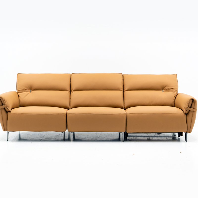PFS21029 Living Room Sofas Popular Hight Quality High Quality 2024 Environmental Protection Top Selling Oem/Odm Sofa 2 Seater