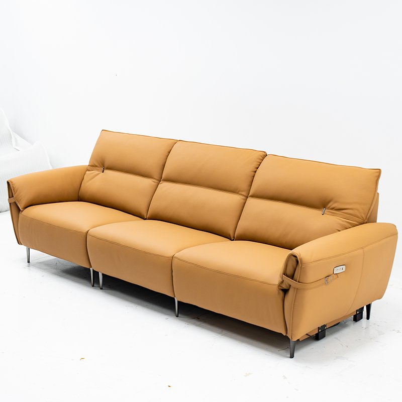 PFS21029 Living Room Sofas Popular Hight Quality High Quality 2024 Environmental Protection Top Selling Oem/Odm Sofa 2 Seater