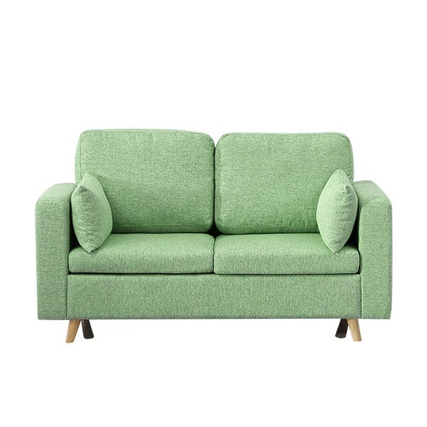 Two-seater sofa Simple modern fabric sofa Fashion fabric living room sofa
