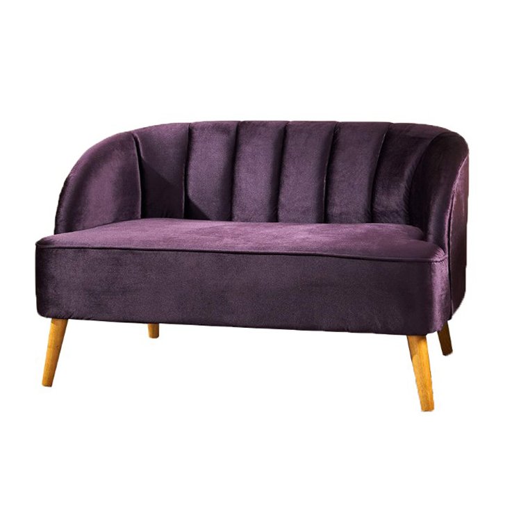 Modern Design Purple Velvet Sofa Set, Indoor Small Size 2 Seat Living Room Sofa
