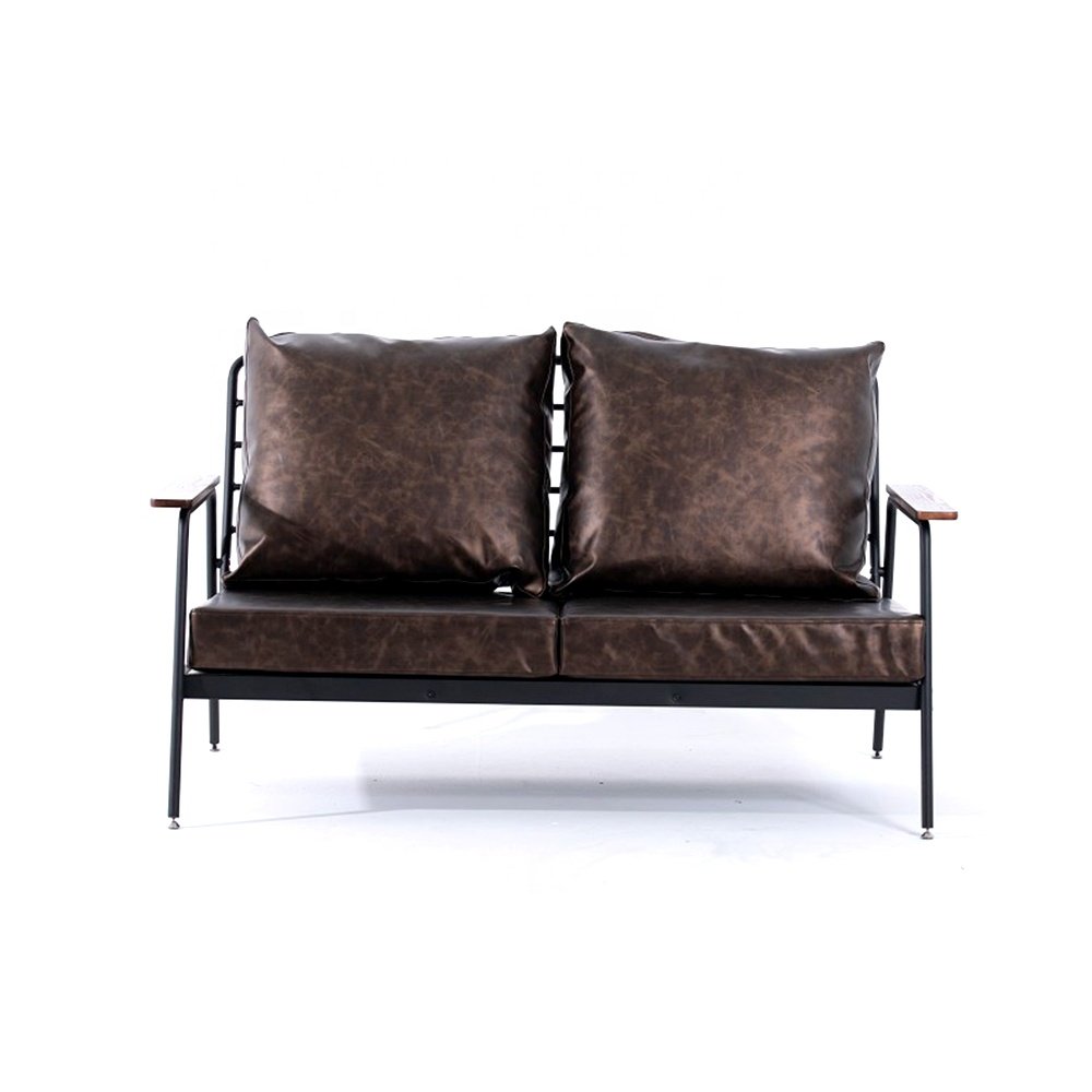 Modern Living Room Sofa Two Seater Sofa for Apartment