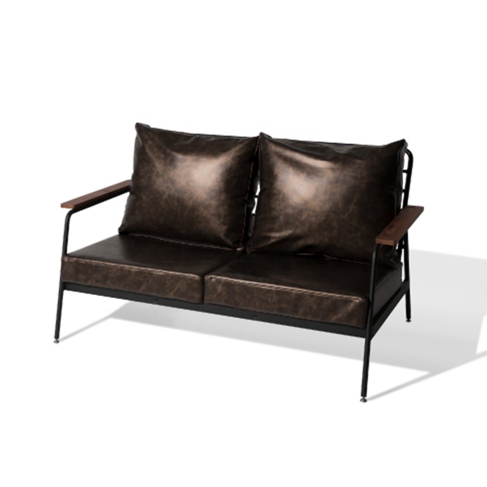 Modern Living Room Sofa Two Seater Sofa for Apartment