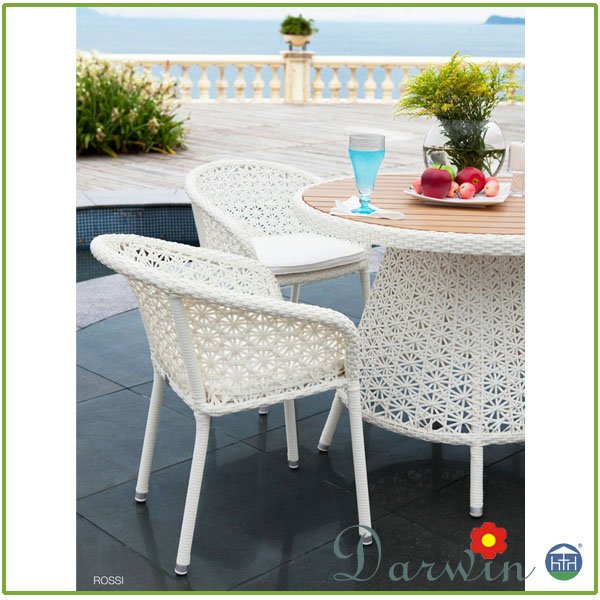 Modern cheap dining chair leisure rattan foshan manufacturer price genuine wicker outdoor dining table set