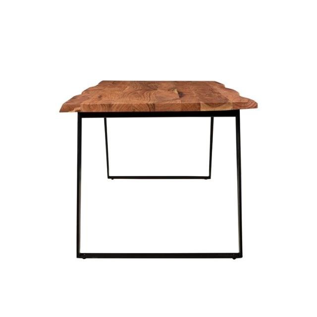 Modern Emmeline Iron Dining Table Home Living room Furniture rectangular table best collection wholesale bulk price