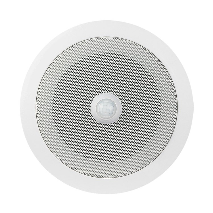 Wired Sound Alarm Strobe Light Siren Home Pir Motion Sensor With Audio Player System