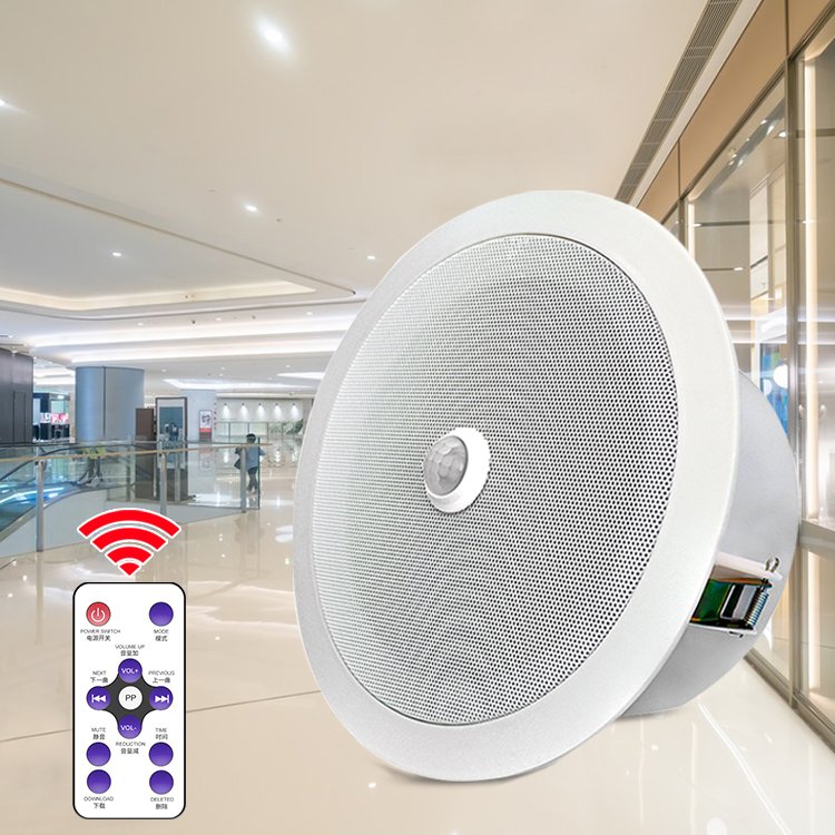 Wired Sound Alarm Strobe Light Siren Home Pir Motion Sensor With Audio Player System