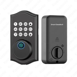 APP+Fingerprint+Password+Key