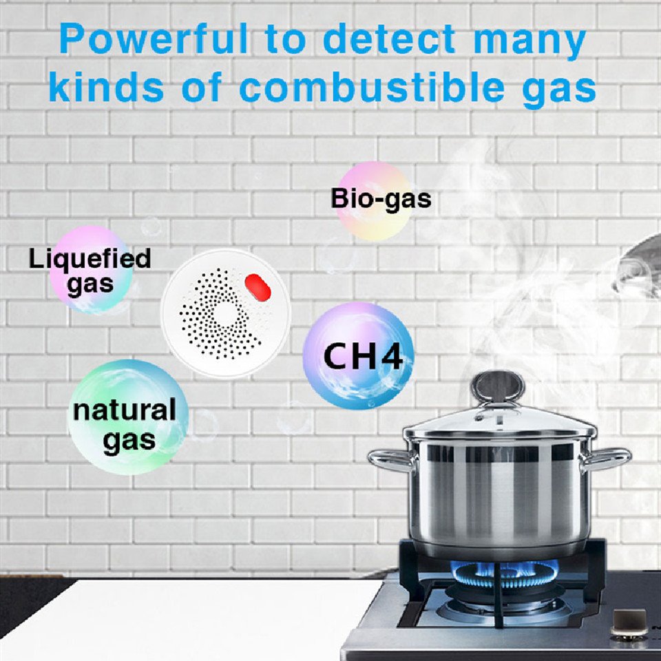 Smart APP Remote Control Gas Detector Household Fire Alarm System Independent Wireless Wifi Gas Leakage Sensor