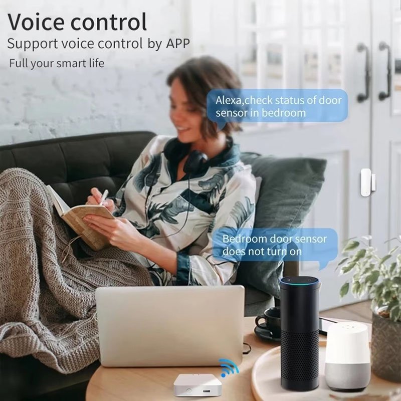 WD004-1 Tuya WIFI Door Magnetic Alarm Smart APP Control Alarm Device Magnetic Door Sensor For Doors and Windows
