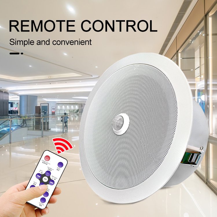 Motion Activated Module Recordable Mini Micro USB High Volume Cell mounted Audio Player
