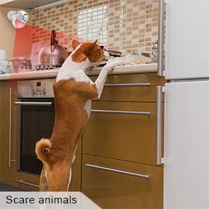 Body motion sensor wireless home alarm electronic barking dog alarm