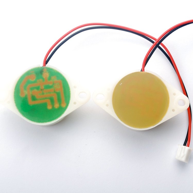 SS3026IS12L High Decibel Alarm System DC 3-24V Working Voltage Interval Sound Resonator Buzzer 12V