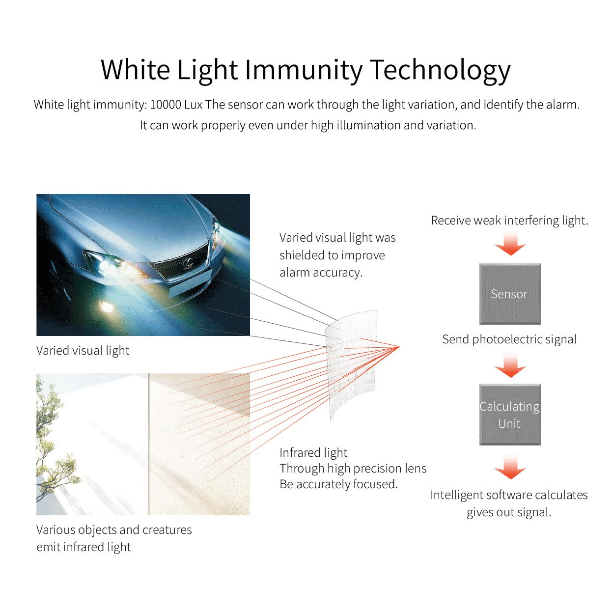 New Arrival Triple Technology Wired Waterproof Outdoor Infrared PIR Microwave Motion sensor 12v PIR Motion Detector Alarm