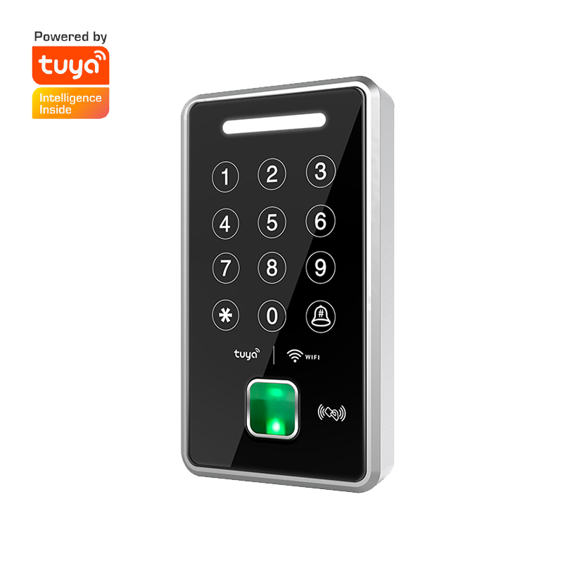 EBKN Waterproof IP65 Tuya Access Control For Outdoor