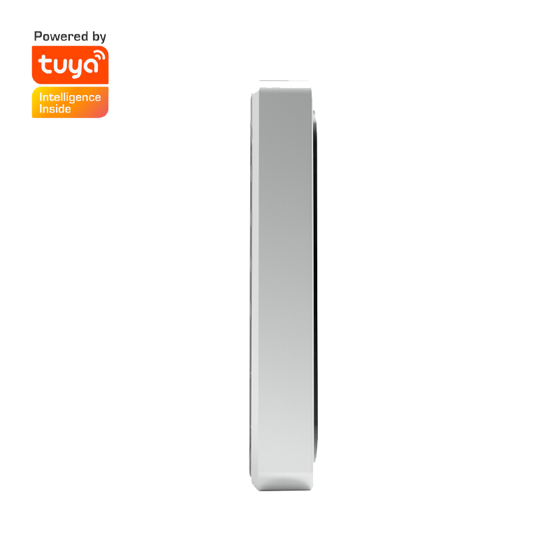 EBKN Waterproof IP65 Tuya Access Control For Outdoor