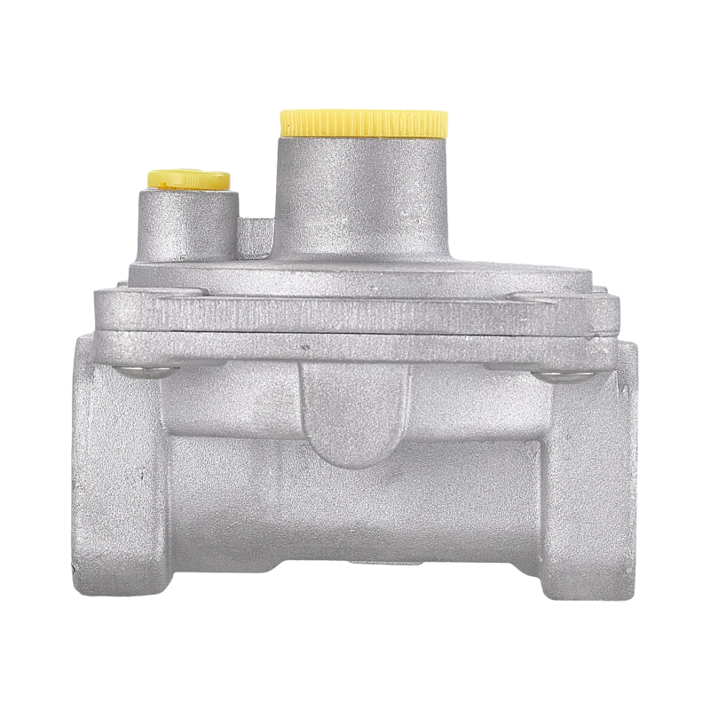 WEAJA High Quality Chinese Manufacture Natural Gas Pressure Regulator and Gas Filter Alarm System for Home Use