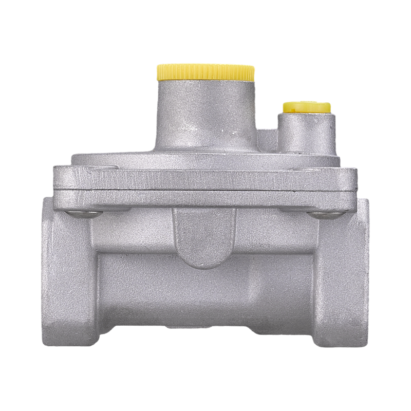 WEAJA High Quality Chinese Manufacture Natural Gas Pressure Regulator and Gas Filter Alarm System for Home Use