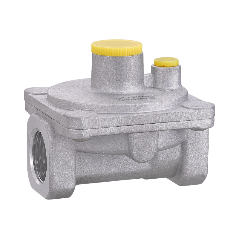 WEAJA High Quality Chinese Manufacture Natural Gas Pressure Regulator and Gas Filter Alarm System for Home Use