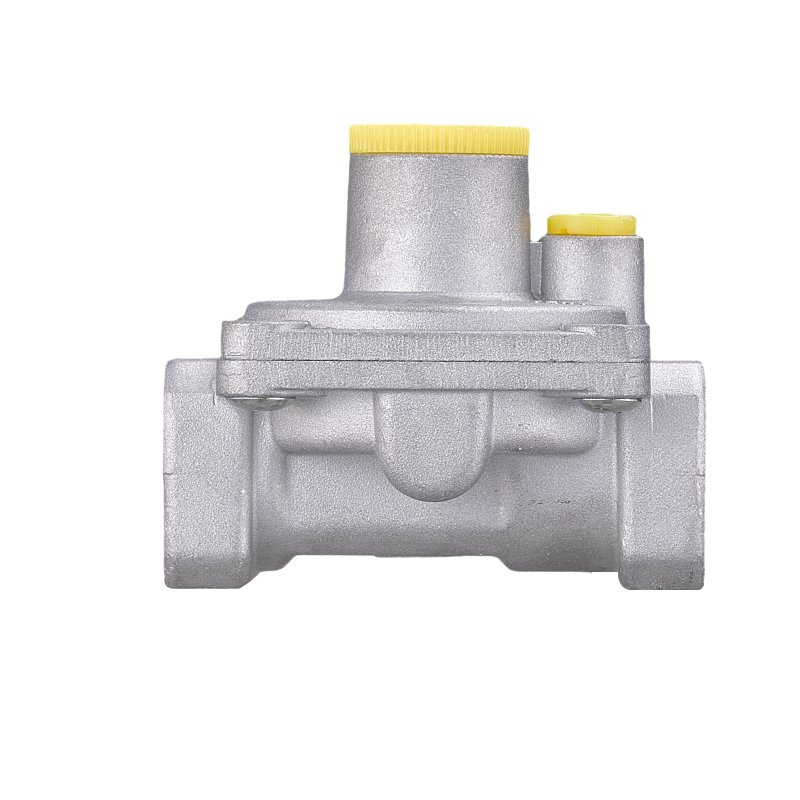 WEAJA High Quality Chinese Manufacture Natural Gas Pressure Regulator and Gas Filter Alarm System for Home Use