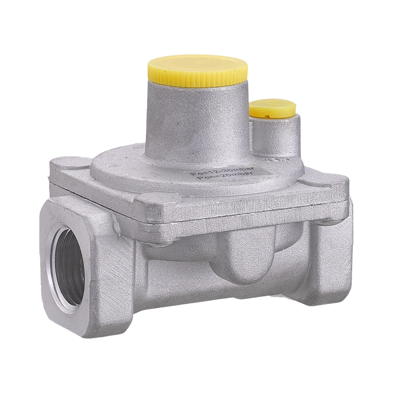 WEAJA High Quality Chinese Manufacture Natural Gas Pressure Regulator and Gas Filter for Home Use Alarm System