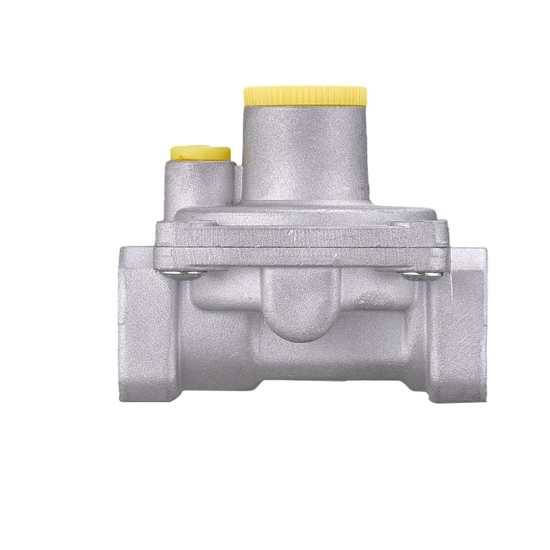 High Quality Chinese Manufacture Natural Gas Pressure Regulator and Gas Filter for Home Use Alarm System