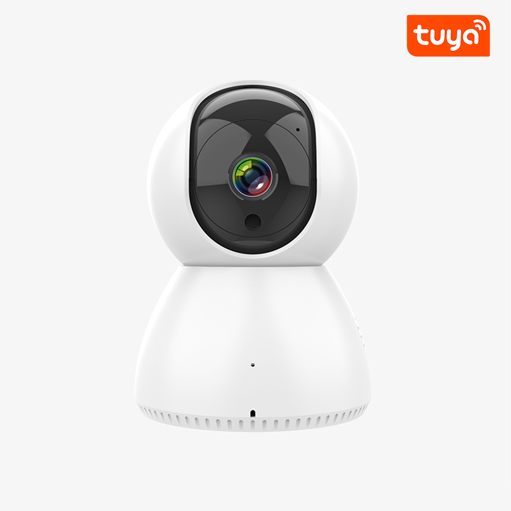 2024 Innovative IOT Camera Wireless Security Alarm System 2 in 1 Tuya WiFi With PIR Motion Detector Door Sensor burglar Kit