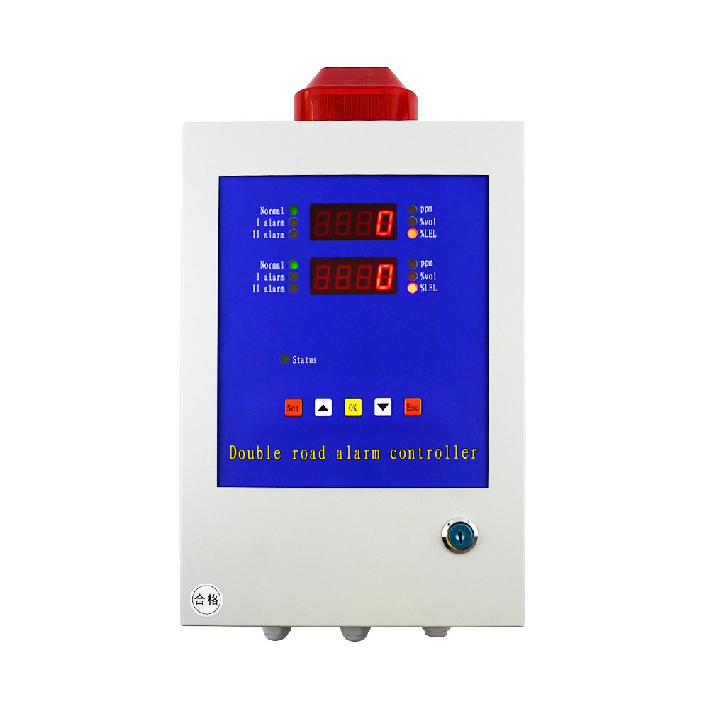 Online Gas Detection System LPG H2S O2 Gas Detector Alarm Controller