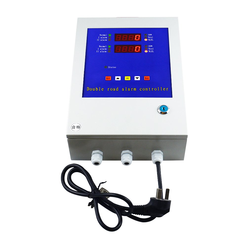 Online Gas Detection System LPG H2S O2 Gas Detector Alarm Controller