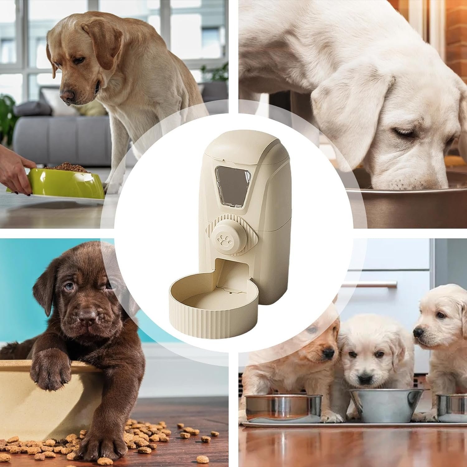 Cat bowl and dog food bowl automatic water dispenser hanging overturned dog drinking bowl