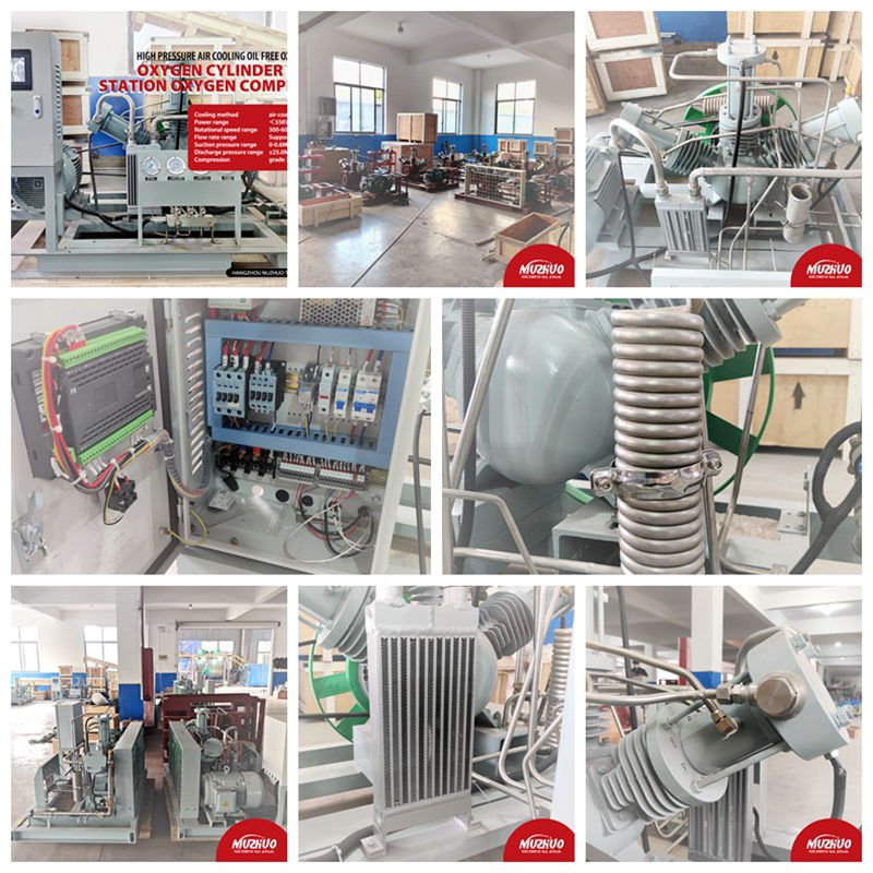 NUZHUO Golden Supplier High Pressure Nitrogen Compressor 100Nm3/Hr Industrial O2 Compressor