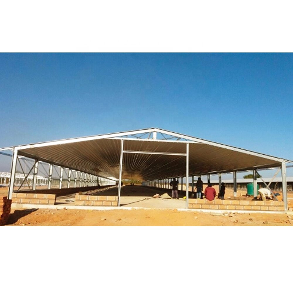chicken farm building semi control shed chicken house quail butchery open sided poultry house