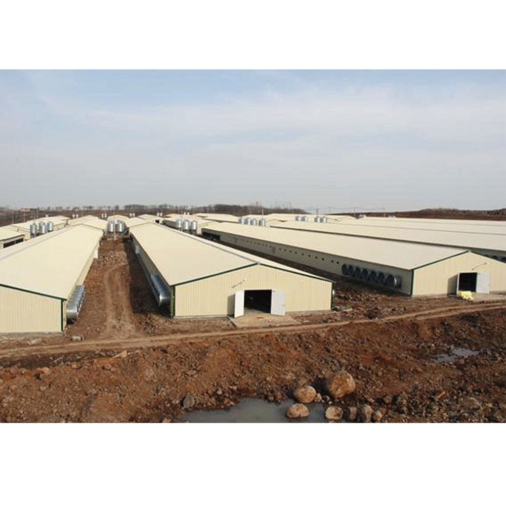 chicken farm building semi control shed chicken house quail butchery open sided poultry house