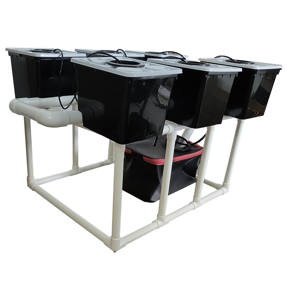 Dutch or Bato Bucket System 6 Planter Buckets Stands Drip Irrigation Tank Pump PP Material Healthy Plant Growing