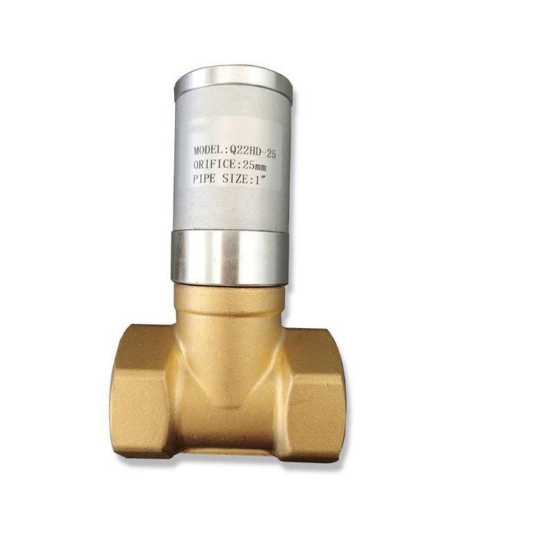 Q22HD Two Position Two Way Piston Pneumatic Valves Check Valve