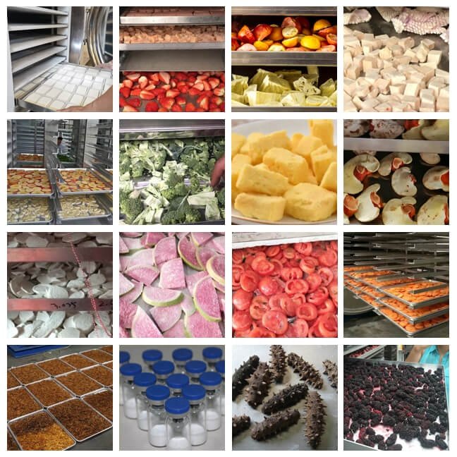 Factory price vaccum lyophilizer vacuum freeze dryer machinery