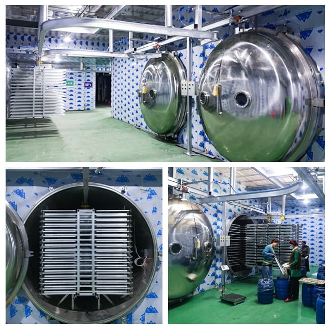 Factory price vaccum lyophilizer vacuum freeze dryer machinery