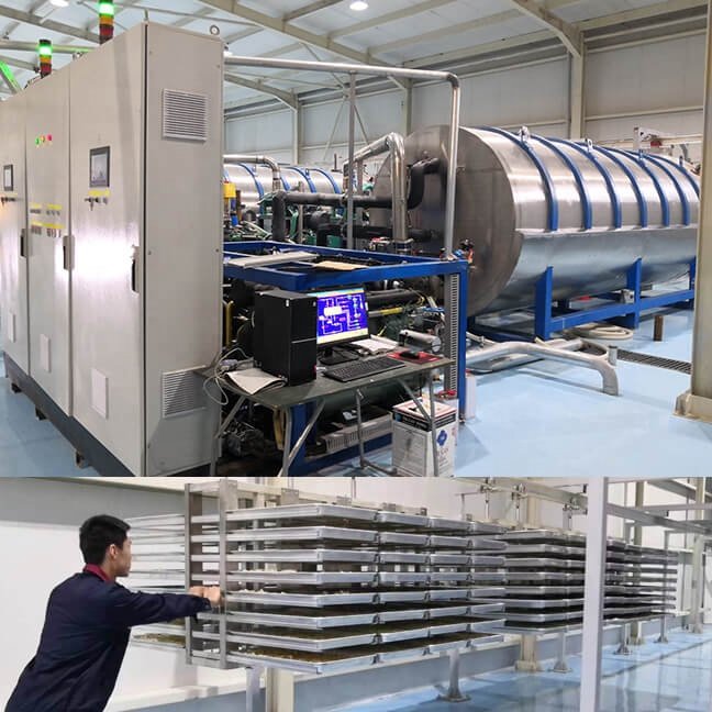 Factory price vaccum lyophilizer vacuum freeze dryer machinery