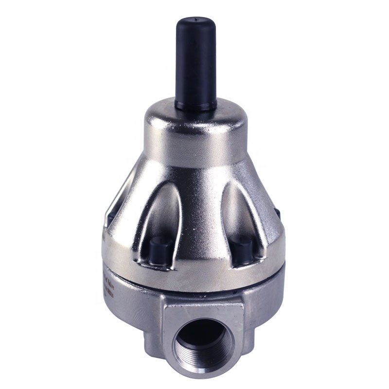 metering pump parts SUS304 back pressure valve Relief Valve
