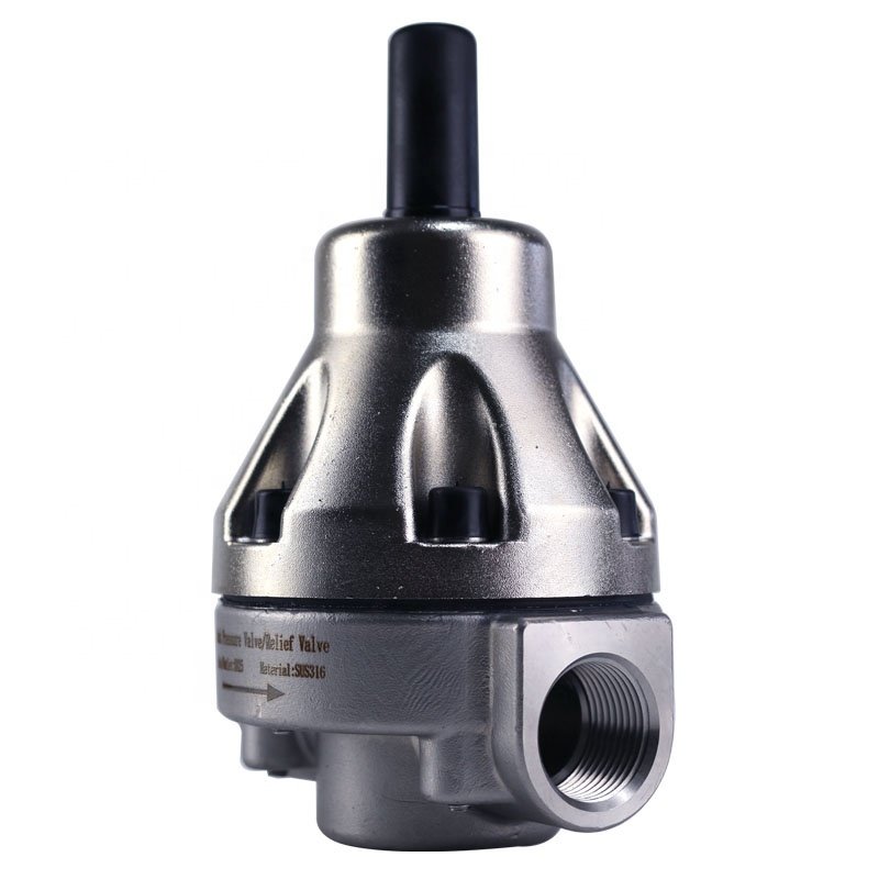 metering pump parts SUS304 back pressure valve Relief Valve