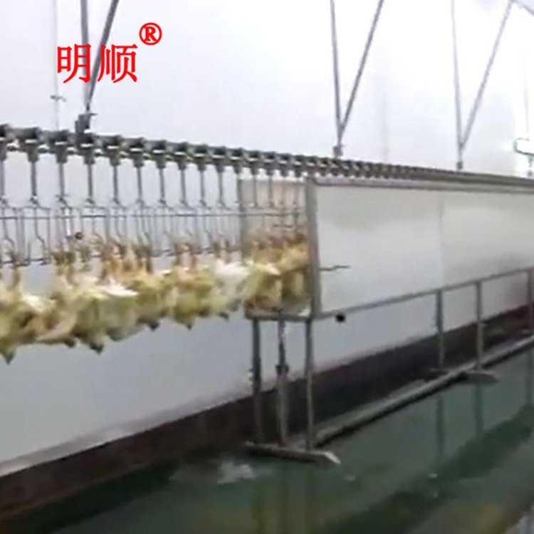 Poultry Stunning Equipment Automatic Chicken Slaughtering line Water Stunner Machine