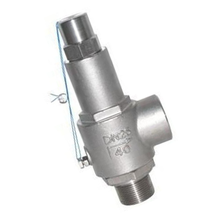 High quality stainless steel safety relief valve threaded safety valve