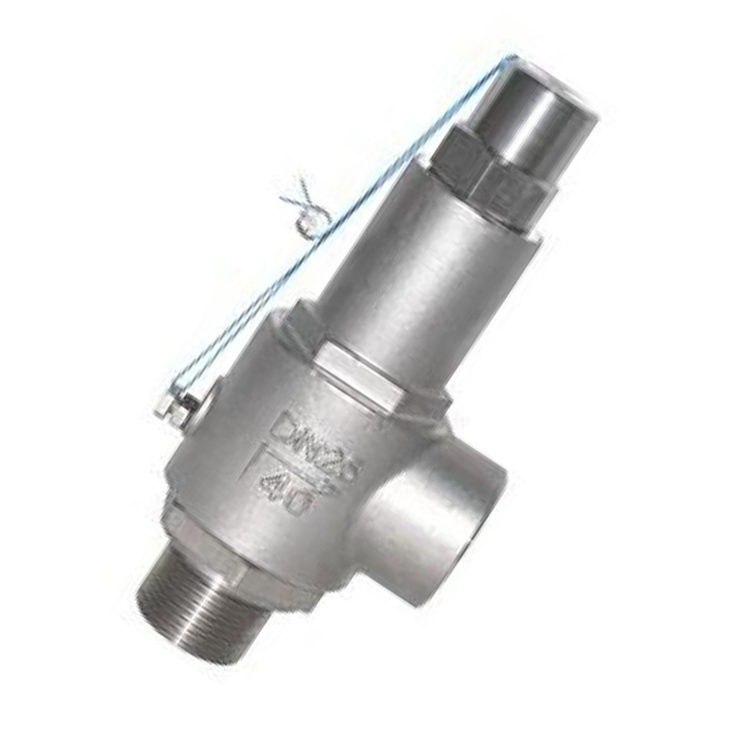 High quality stainless steel safety relief valve threaded safety valve