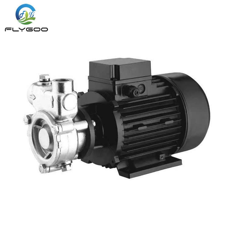 Stainless Steel 304 Ozone Water Mixing Pump Gas Liquid Pump