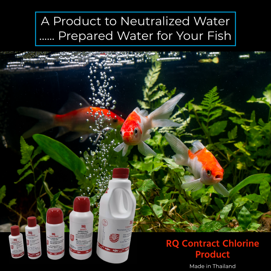 RQ Contract Chlorine Product 120ml Plastic Neutralizer for Fresh Water Fish Removes Chlorine and Chloramine Dozen Pack