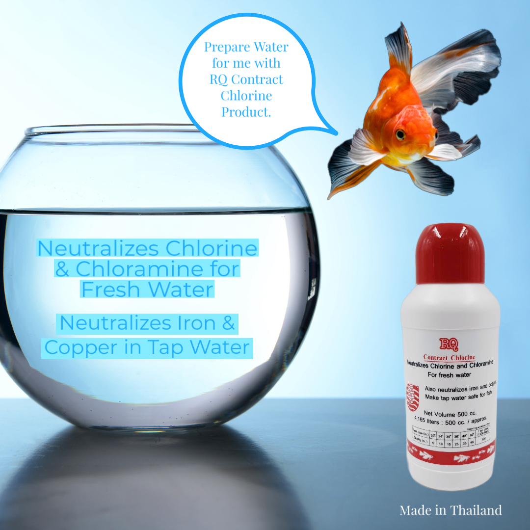 RQ Contract Chlorine Product 120ml Plastic Neutralizer for Fresh Water Fish Removes Chlorine and Chloramine Dozen Pack