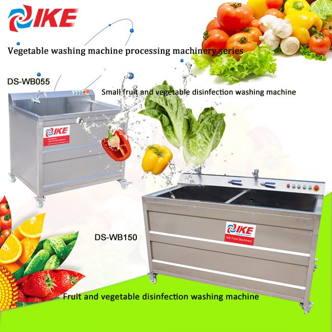 Apple Ginger Carrot Potato Fruit Washer Vegetable Tomato Beet Bubble Washing Machine Stainless Steel