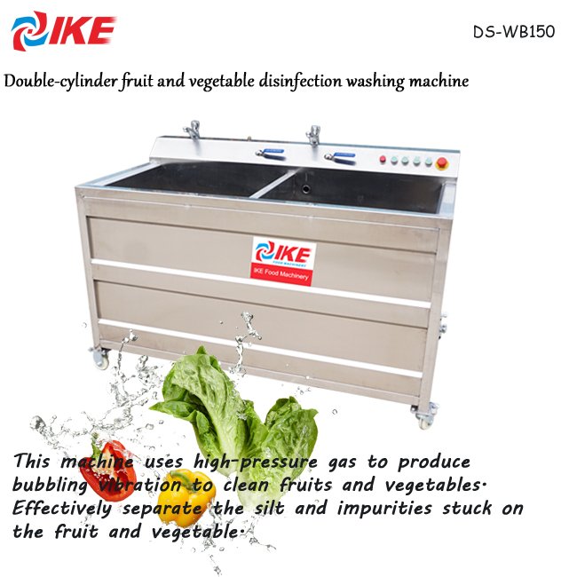 Apple Ginger Carrot Potato Fruit Washer Vegetable Tomato Beet Bubble Washing Machine Stainless Steel